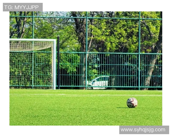 足球场画圆的球星是谁 谁用独特技巧征服了绿茵场